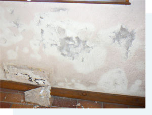 Pièce humide ou pièce d'eau, équipez vos murs de plaques anti-humidité - M6